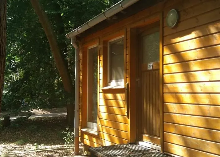 Ferienpark-Eichenwald
